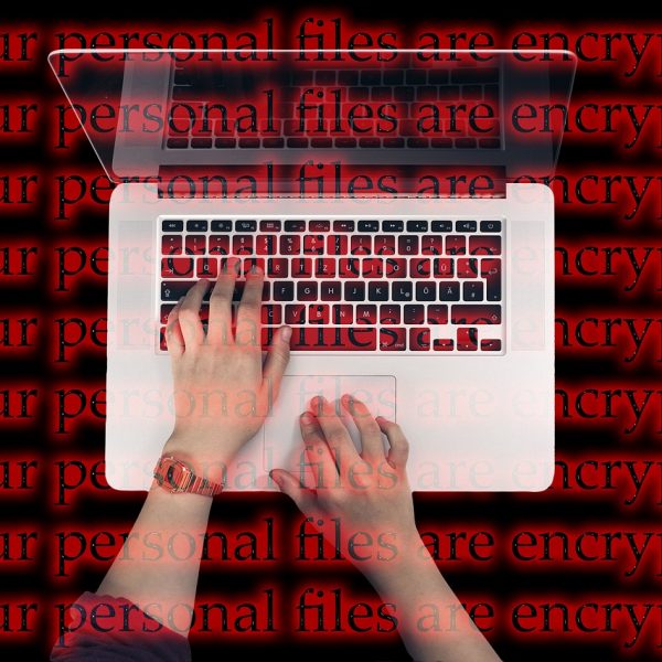 5 conseils pour prévenir les cyberattaques et logiciels malveillants