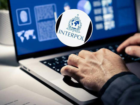 Arnaques en ligne: 300 millions de dollars saisis dans une opération d’Interpol …