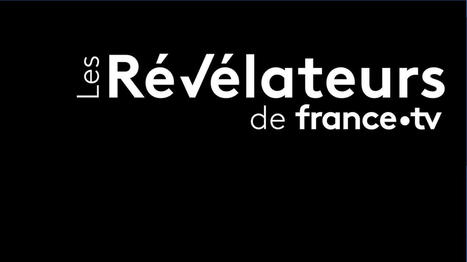 Vérification d’images et de vidéos, enquêtes Osint …