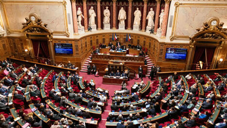 Investissements étrangers en France : un débat organisé au Sénat, sur fond de surveillance des ingérences étrangères …