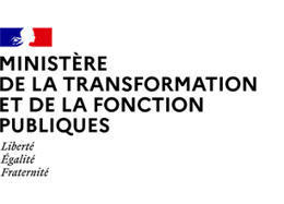 Analyste influence et OSINT | pass.gouv.fr