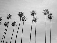 La régulation des systèmes d’intelligence artificielle repoussée en Californie …