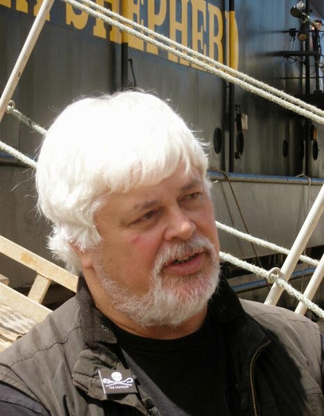 Pourquoi Paul Watson ne sera probablement pas extradé vers le Japon …