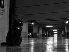 La nuit, tous les parkings (d’habitation) sont ouverts : la géolocalisation sauvée par le code de la sécurité intérieure …